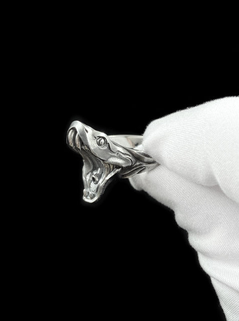 Snakes Jewelry