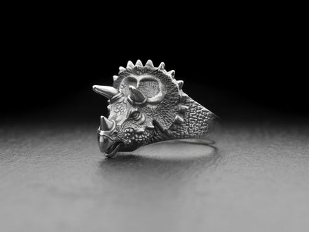 Sterling Silver Triceratops Ring: Dinosaur Jewelry Gift __etsy:7219991914