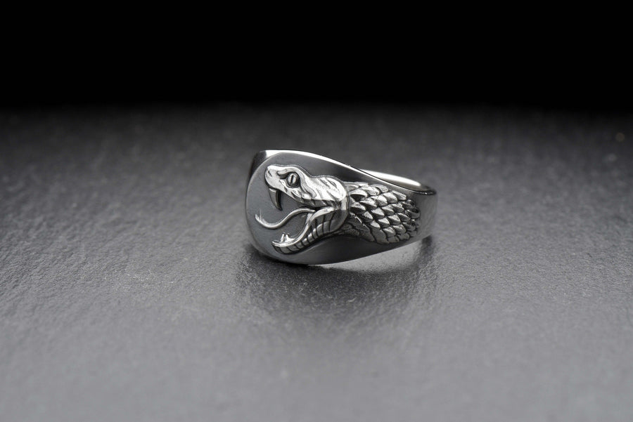 Signet ring	Animal ring	Snake signet ring	Silver snake ring	snake jewelry	reptile jewelry (etsy image id: 4099413107)