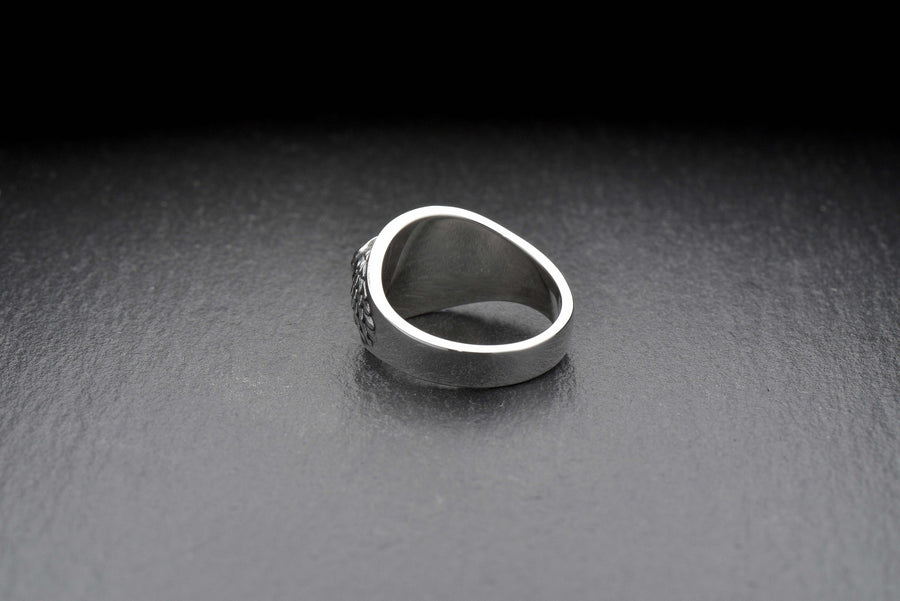 Signet ring	Animal ring	Snake signet ring	Silver snake ring	snake jewelry	reptile jewelry (etsy image id: 4099413107)