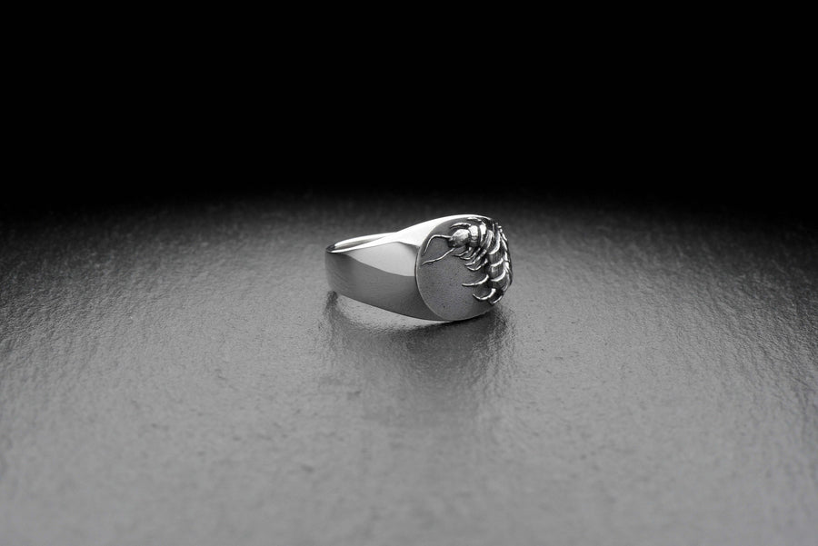 Signet ring	Scolopendra ring	scolopendra signet	Chilopoda jewelry	scolopendra jewelry	Centipedes	Scolopendra	Scolopendre	bug ring	bug	tropical ring	insect	insect ring (etsy image id: 7305664061)