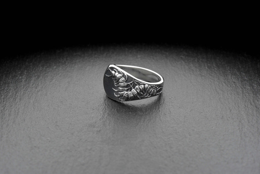 Signet ring	Scolopendra ring	scolopendra signet	Chilopoda jewelry	scolopendra jewelry	Centipedes	Scolopendra	Scolopendre	bug ring	bug	tropical ring	insect	insect ring (etsy image id: 7305664061)