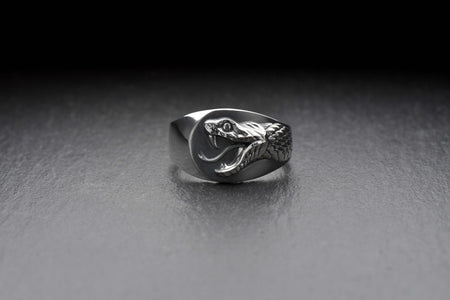 Signet ring	Animal ring	Snake signet ring	Silver snake ring	snake jewelry	reptile jewelry (etsy image id: 4099413107)