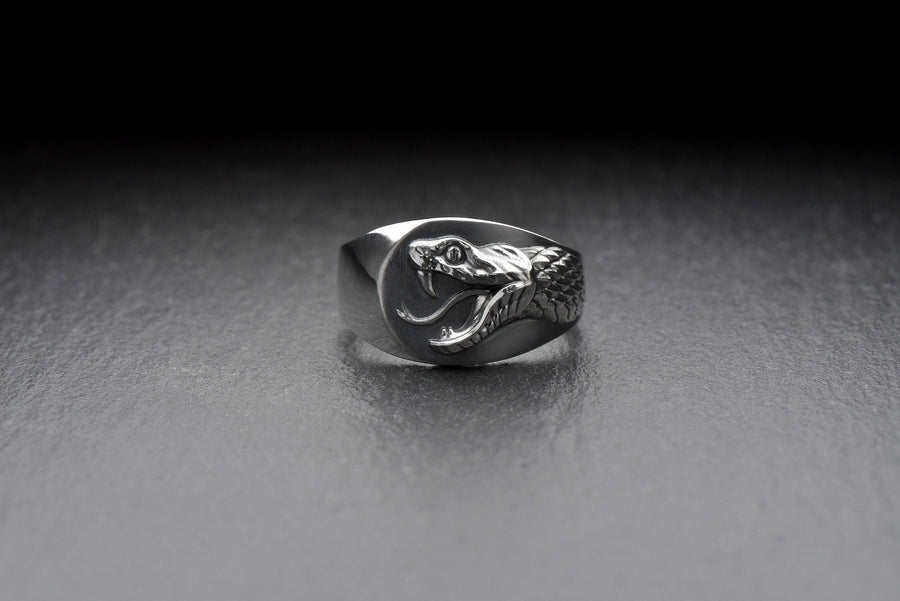 Signet ring	Animal ring	Snake signet ring	Silver snake ring	snake jewelry	reptile jewelry (etsy image id: 4099413107)