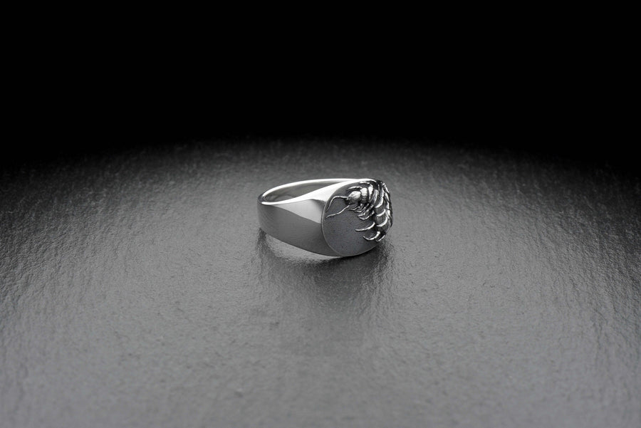 Signet ring	Scolopendra ring	scolopendra signet	Chilopoda jewelry	scolopendra jewelry	Centipedes	Scolopendra	Scolopendre	bug ring	bug	tropical ring	insect	insect ring (etsy image id: 7305664061)