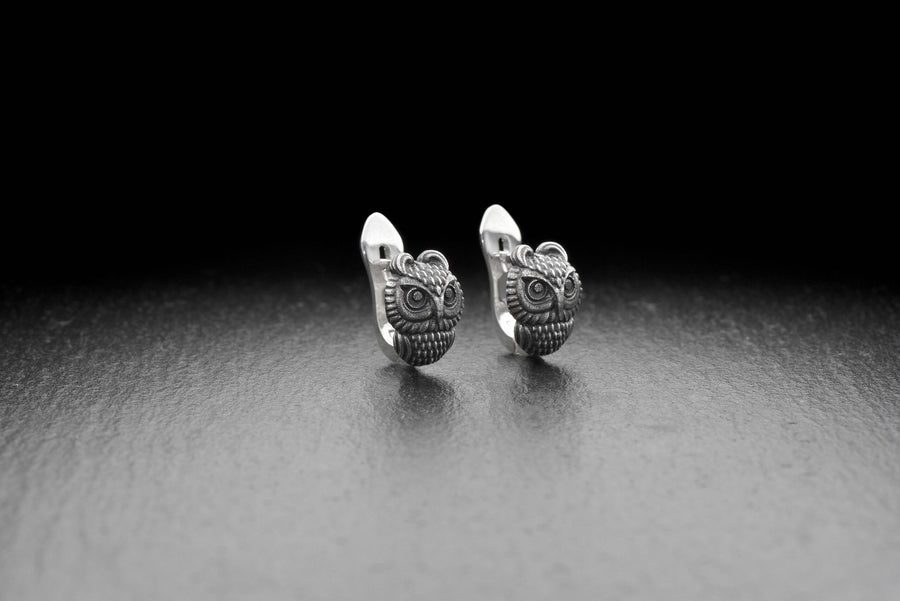 Sterling silver	animal earrings	animal jewelry	birds jewelry	Owl Earrings	Owl jewelry	owl house (etsy image id: 7416892201)