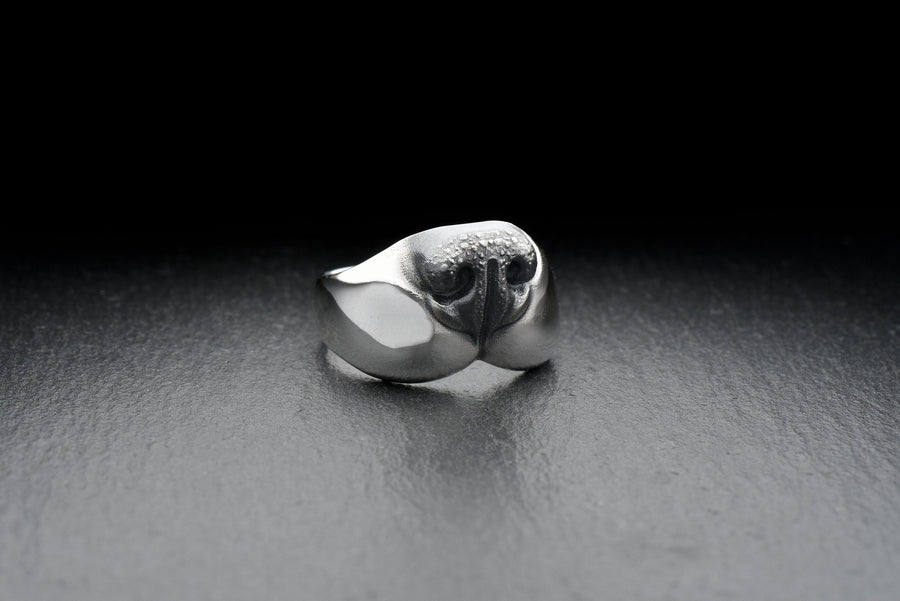 dog lovers	Hundering	dog jewelry	nose ring	silver ring	decoration (etsy image id: 7401785009)