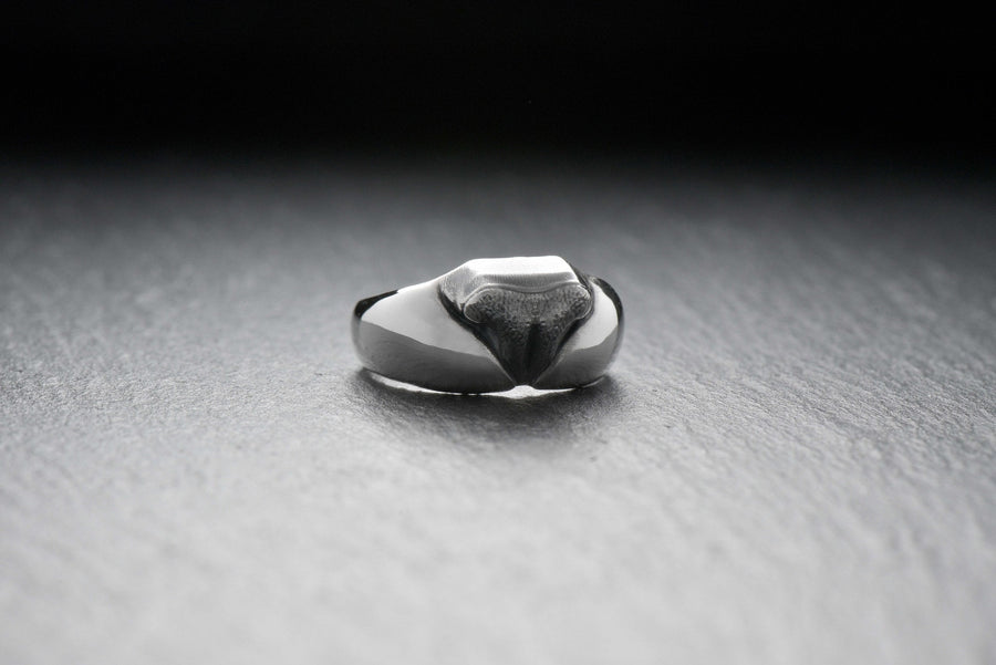 men's jewelry	animal silver ring	men ring	jewelry for men	wedding	wedding rings	cat lover gift	cat nose	nose ring	ring with cat nose	cute ring	cute gift	pet memorial jewelry (etsy image id: 4556176226)