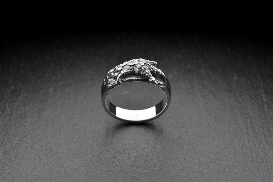 Owl silver ring	Owl Paw Ring	Jewelry Owl Paw	Ring Owl Paw	Silver Ring Owl (etsy image id: 4659295721)