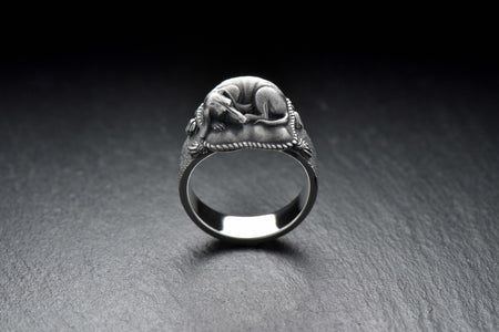 dog ring	jewelry dog	gift	silver ring	dog lover gift	dogs lover	sterling silver	dog jewelry	silver	Dachshund Ring	Dachshund	Dachshund gift	Dachshund jewelry (etsy image id: 4687742063)