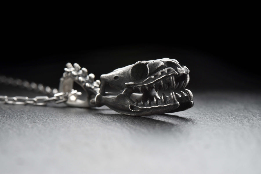 sterling silver	Silver Snake Skull	Pendant Snake Skull	Snake Skull	Silver Pendant	Skull	Silver Pendant Skull	Pendant Skull	jewelry Skull	jewelry Snake	Silver	Silver jewelry	jewelry (etsy image id: 4649363610)