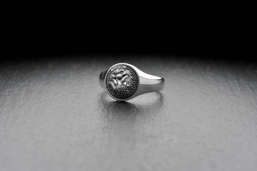 animal jewelry	hedgehog	hedgehog ring	riccio	animal ring	hedgehog gift	handmade hedgehog	porcupine ring	gift for her	hedgehog gifts	silver ring	silver gift	hedgehog jewelry (etsy image id: 7395452823)