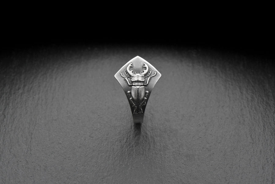 Look no further than this silver stag beetle ring! Handcrafted with care, this ring features a beautifully detailed stag beetle design that is sure to turn heads. (etsy image id: 4673645152)