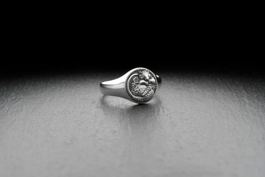 animal jewelry	gift for her	animal ring	Silver Ring	Silver Ring Mouse	Ring Mouse	Mouse	Mouse jewelry	Gift	Mouse lovers	sterling silver ring	sterling silver	silver (etsy image id: 4753306071)