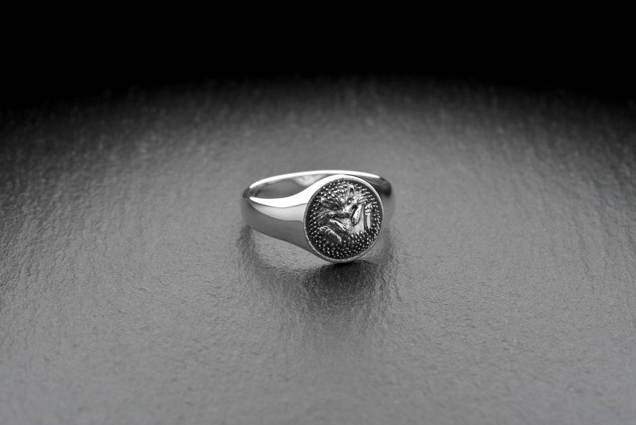 animal jewelry	hedgehog	hedgehog ring	riccio	animal ring	hedgehog gift	handmade hedgehog	porcupine ring	gift for her	hedgehog gifts	silver ring	silver gift	hedgehog jewelry (etsy image id: 7395452823)