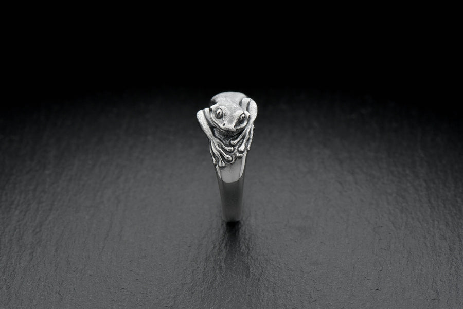 animal jewelry	animal ring	silver ring	frog lover	frog ring	Froschring	bague grenouille	frog totem ring	frog gift	frog jewelry	frog	silver frog ring	gift for her (etsy image id: 7340286694)