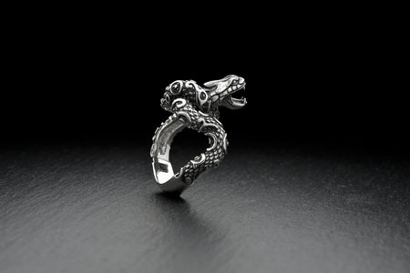 The snake design on this ring is not only fashionable but also symbolizes rebirth transformation, and healing. This ring is the perfect accessory to complete any outfit, from casual to formal. Wear it alone as a statement piece or pair it with other silver jewelry to create a stylish and coordinated look. (etsy image id: 4813032929)
