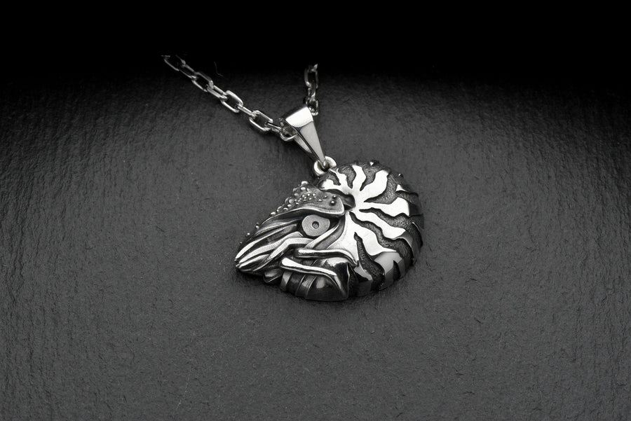 Sterling Silver Nautilus Pendant: Oxidized Sea Creature Jewelry (etsy image id: 7372641314)