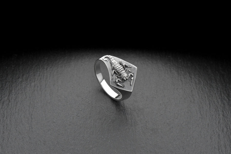 Sterling Silver Scorpion Signet Ring: Handmade Insect Jewelry (etsy image id: 7346784250)