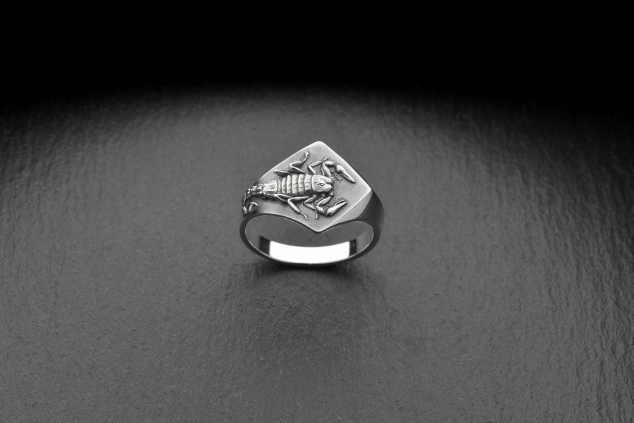 Sterling Silver Scorpion Signet Ring: Handmade Insect Jewelry (etsy image id: 7346784250)