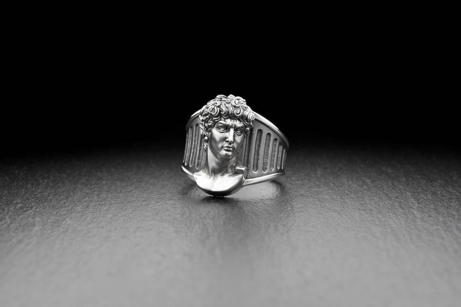 Introducing our stunning Sterling Silver Ring featuring the Head of David, inspired by Michelangelo's iconic sculpture. (etsy image id: 4919259020)