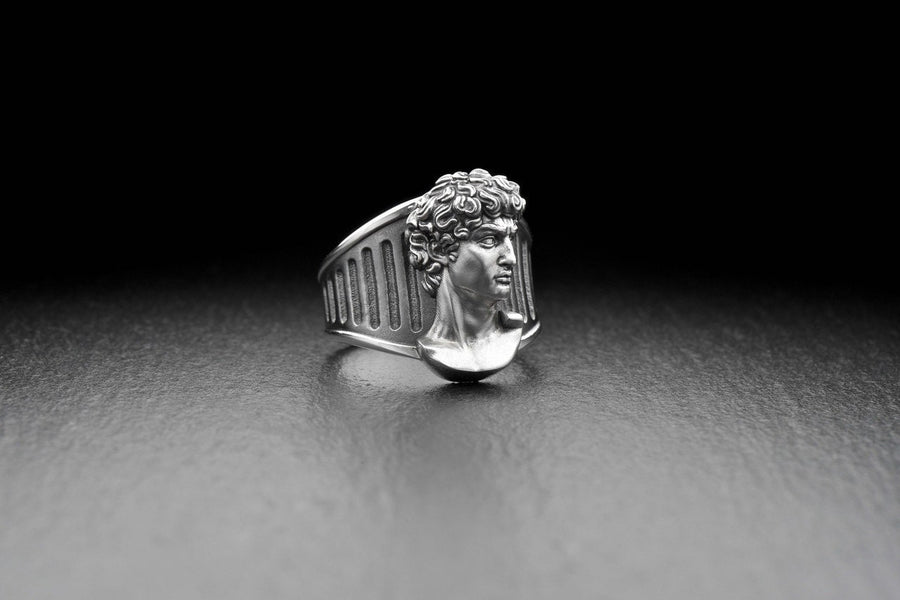 Introducing our stunning Sterling Silver Ring featuring the Head of David, inspired by Michelangelo's iconic sculpture. (etsy image id: 4919259020)