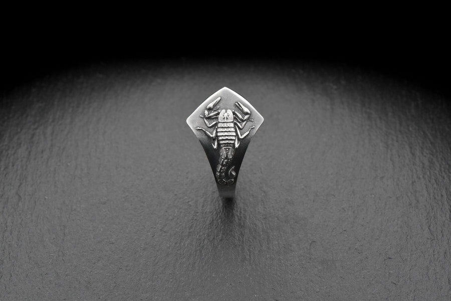 Sterling Silver Scorpion Signet Ring: Handmade Insect Jewelry (etsy image id: 7346784250)