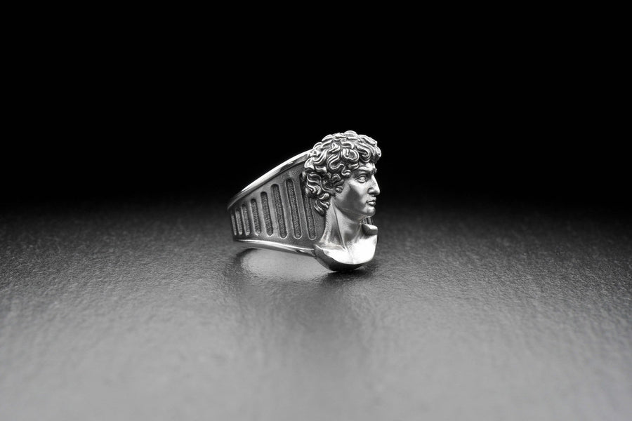 Introducing our stunning Sterling Silver Ring featuring the Head of David, inspired by Michelangelo's iconic sculpture. (etsy image id: 4919259020)