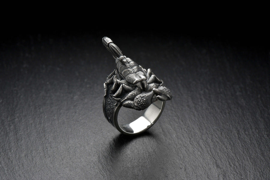 Handmade Sterling Silver Scorpion Ring: Gothic Insect Jewelry (etsy image id: 7339109184)