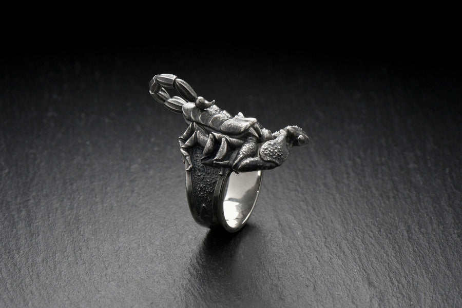 Handmade Sterling Silver Scorpion Ring: Gothic Insect Jewelry (etsy image id: 7339109184)