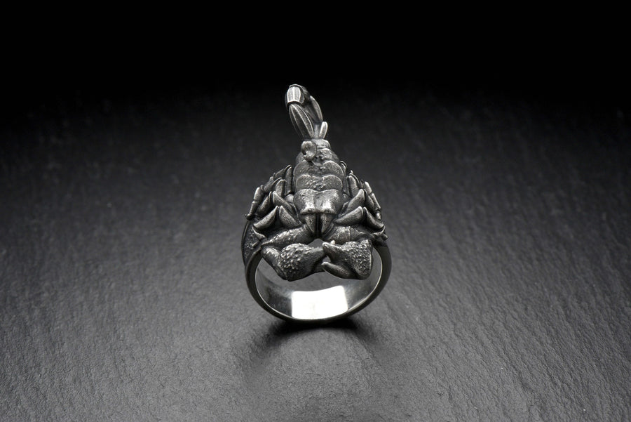 Handmade Sterling Silver Scorpion Ring: Gothic Insect Jewelry (etsy image id: 7339109184)