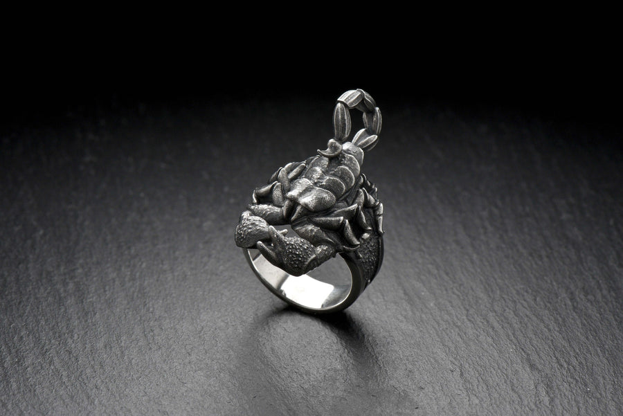 Handmade Sterling Silver Scorpion Ring: Gothic Insect Jewelry (etsy image id: 7339109184)