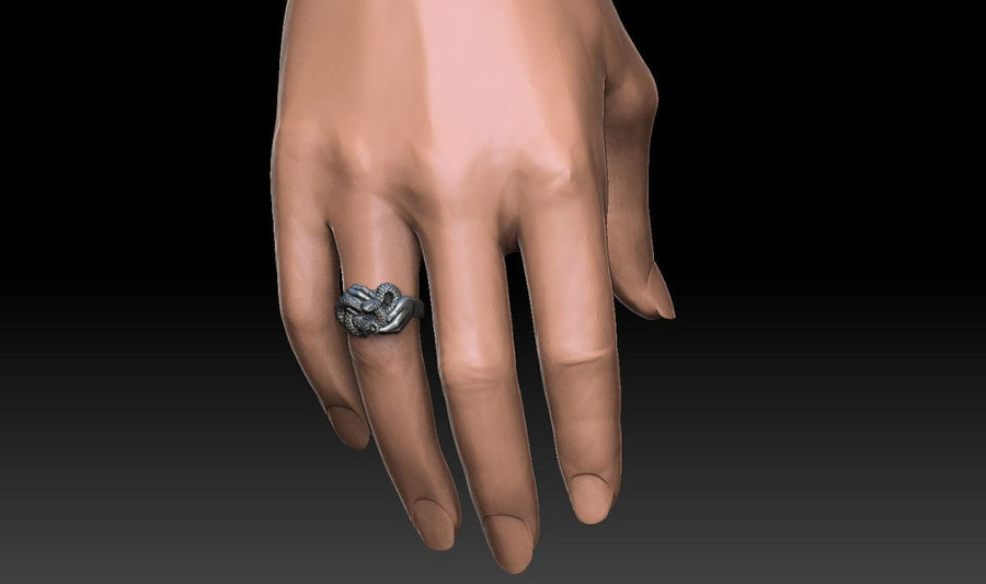 Signet ring	Animal ring	Snake signet ring	Silver snake ring	snake jewelry	reptile jewelry	men's jewelry	dragon house	snake	Silver ring	Serpent ring	Snake ring	Sterling silver (etsy image id: 7159323588)