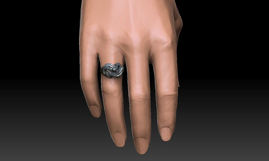 Signet ring	Animal ring	Snake signet ring	Silver snake ring	snake jewelry	reptile jewelry	men's jewelry	dragon house	snake	Silver ring	Serpent ring	Snake ring	Sterling silver (etsy image id: 7159323588)