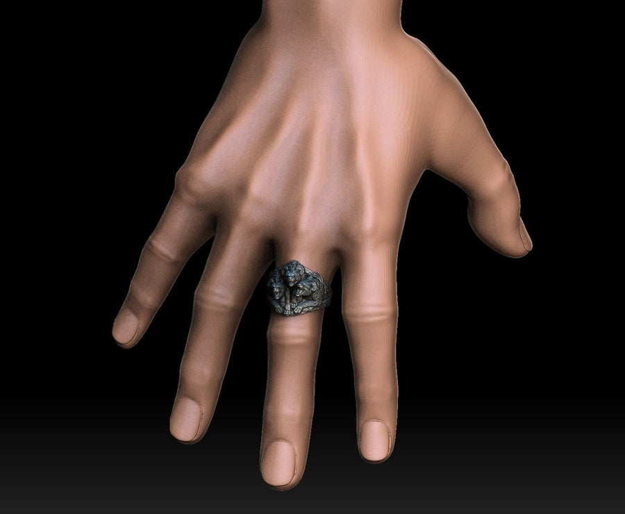 hyenas ring	hyena silver ring	hyena silver jewelry	Hyänenring	bague hyènes	lion king hyena	hyenas	hyenas gift	wild dog lover	wild dog jewelry	african souvenir	beast ring	beast silver ring (etsy image id: 7397082995)