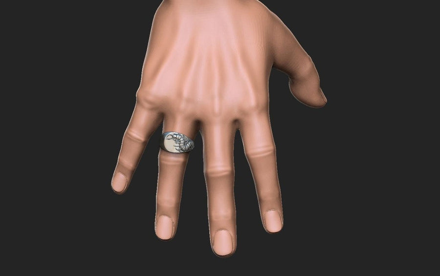 Signet ring	Scolopendra ring	scolopendra signet	Chilopoda jewelry	scolopendra jewelry	Centipedes	Scolopendra	Scolopendre	bug ring	bug	tropical ring	insect	insect ring (etsy image id: 7305664061)