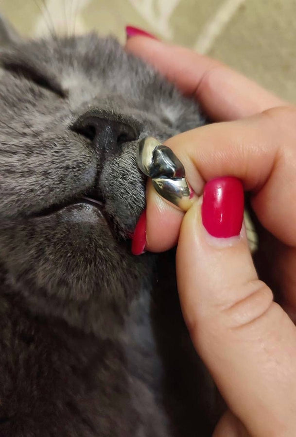 men's jewelry	animal silver ring	men ring	jewelry for men	wedding	wedding rings	cat lover gift	cat nose	nose ring	ring with cat nose	cute ring	cute gift	pet memorial jewelry (etsy image id: 4556176226)