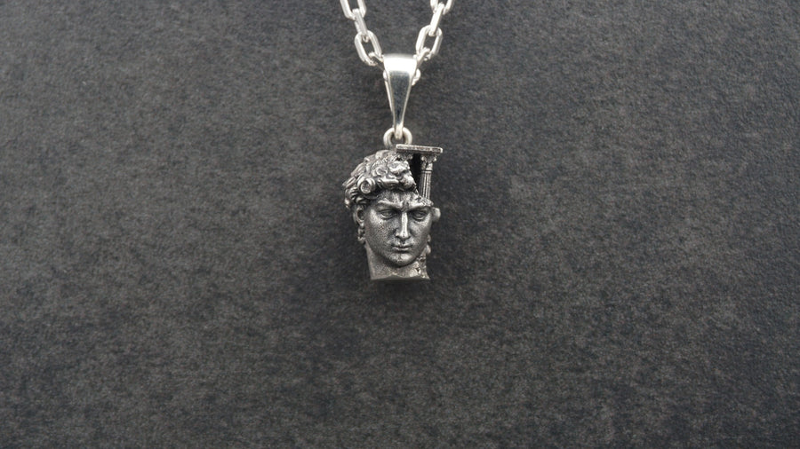 Sterling Silver David Head Pendant: Michelangelo Inspired Renaissance Jewelry (etsy image id: 6030589184)