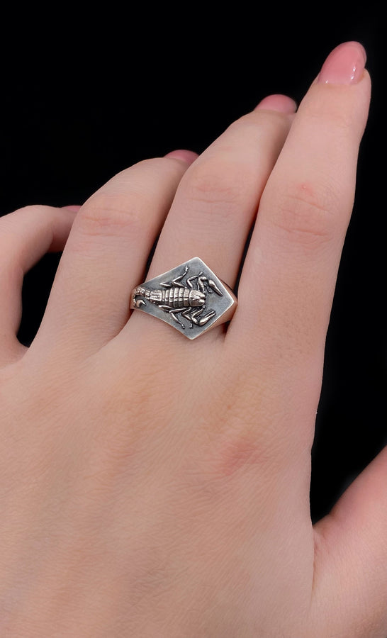 Sterling Silver Scorpion Signet Ring: Handmade Insect Jewelry (etsy image id: 7346784250)