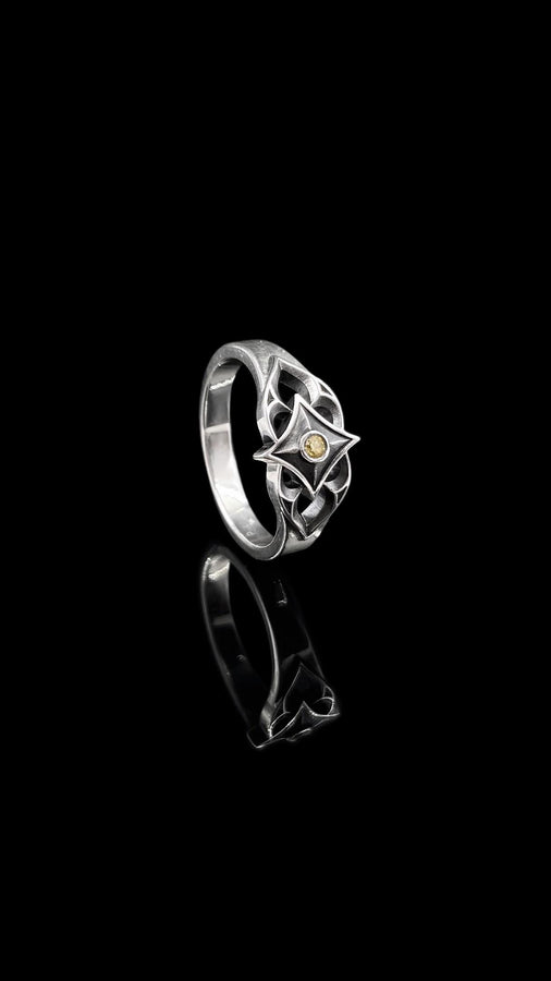 Crafted with precision, this gothic silver ring showcases a bold gemstone and intricate detailing. Perfect for adding a touch of vintage allure to your look. (etsy image id: 7026444785)