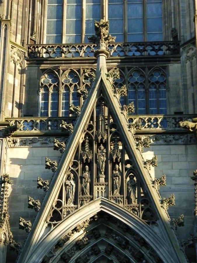A detailed studio shot of an inverted triangle-shaped pendant hanging from a sturdy chain. The design features a "V" shape frame filled with complex, organic filigree. The inner pattern resembles branching roots, veins, or the "Flamboyant" style of late Gothic window tracery. The raised silver lines are polished bright, contrasting with the matte black oxidation in the negative spaces. (etsy image id: 7496362357)
