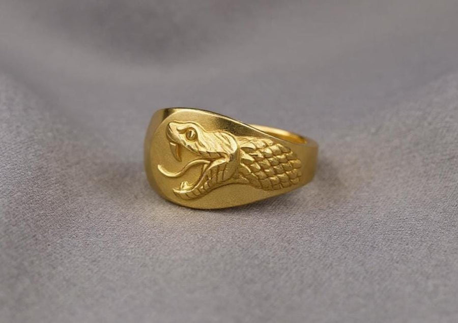 Signet ring	Animal ring	Snake signet ring	Silver snake ring	snake jewelry	reptile jewelry (etsy image id: 4099413107)