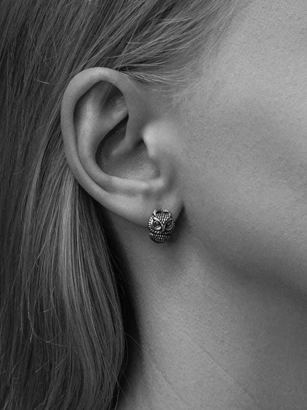 Sterling silver	animal earrings	animal jewelry	birds jewelry	Owl Earrings	Owl jewelry	owl house (etsy image id: 7416892201)