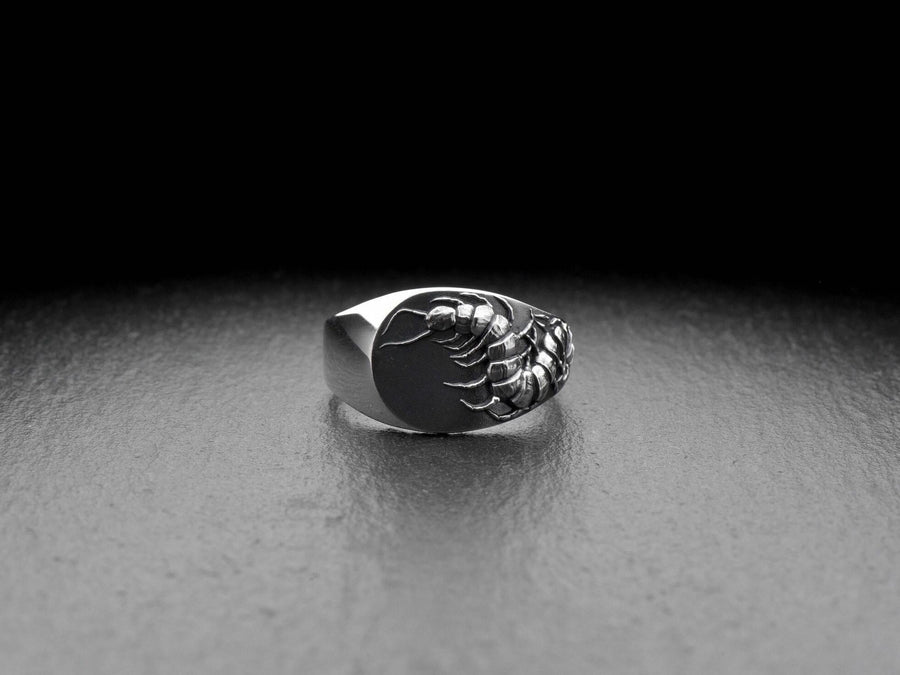 Signet ring	Scolopendra ring	scolopendra signet	Chilopoda jewelry	scolopendra jewelry	Centipedes	Scolopendra	Scolopendre	bug ring	bug	tropical ring	insect	insect ring (etsy image id: 7305664061)