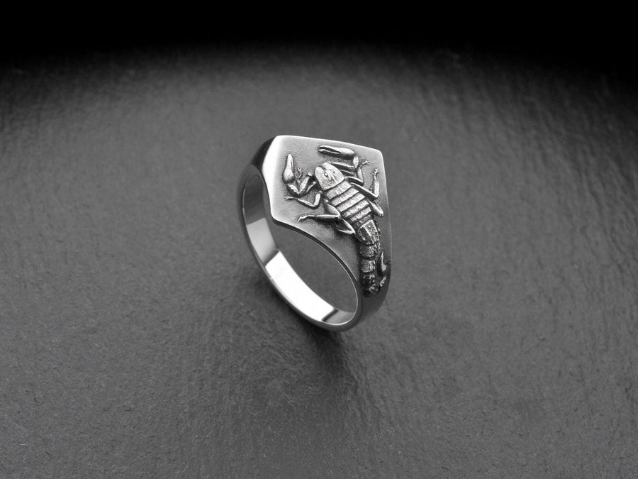 Sterling Silver Scorpion Signet Ring: Handmade Insect Jewelry (etsy image id: 7346784250)