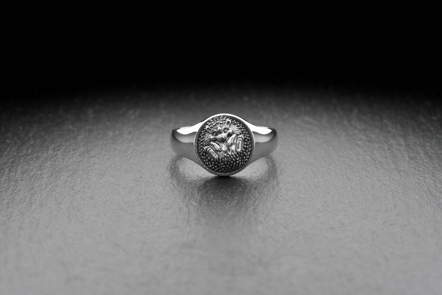 animal jewelry	hedgehog	hedgehog ring	riccio	animal ring	hedgehog gift	handmade hedgehog	porcupine ring	gift for her	hedgehog gifts	silver ring	silver gift	hedgehog jewelry (etsy image id: 7395452823)
