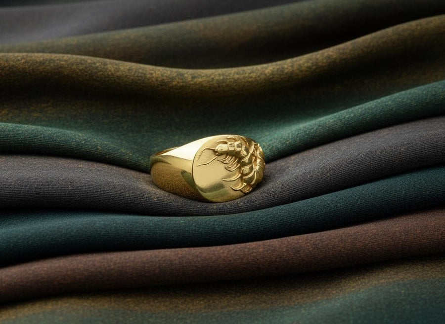 Signet ring	Scolopendra ring	scolopendra signet	Chilopoda jewelry	scolopendra jewelry	Centipedes	Scolopendra	Scolopendre	bug ring	bug	tropical ring	insect	insect ring (etsy image id: 7305664061)
