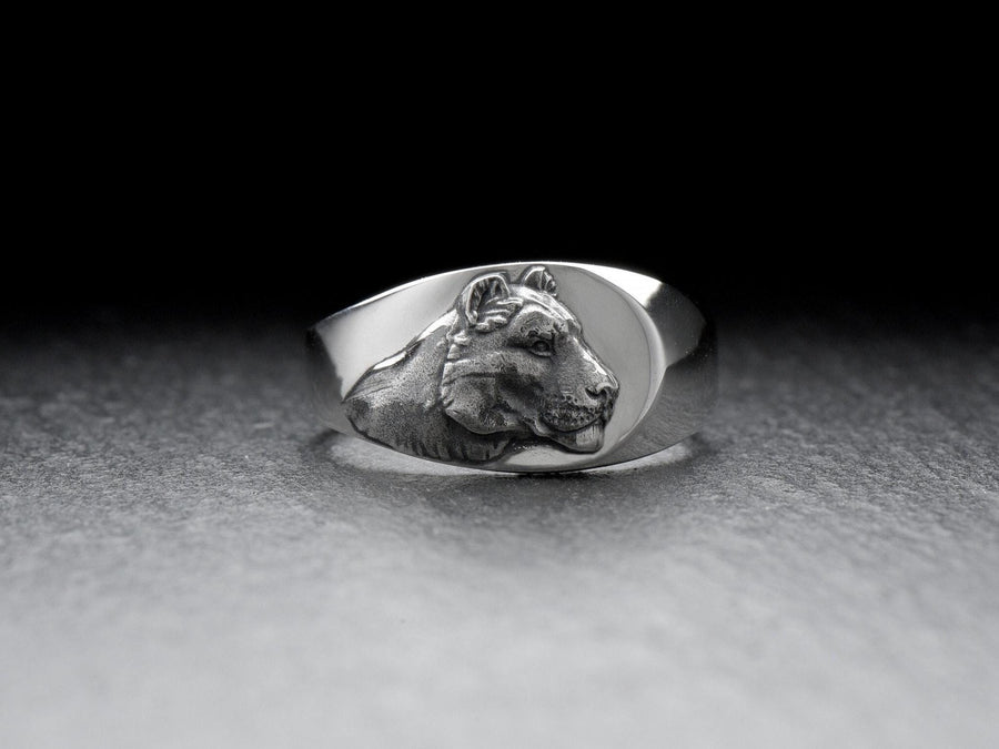 Signet ring	silver signet ring	lion silver ring	lioness silver ring	lio	lioness	lion king	gift for her	lioness ring	wild cat ring	lioness signet	lion	safari (etsy image id: 7400457093)