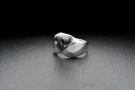 dog lovers	Hundering	dog jewelry	nose ring	silver ring	decoration (etsy image id: 7401785009)