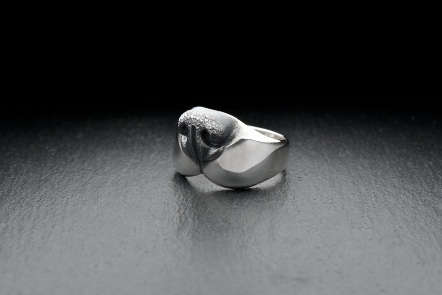 dog lovers	Hundering	dog jewelry	nose ring	silver ring	decoration (etsy image id: 7401785009)